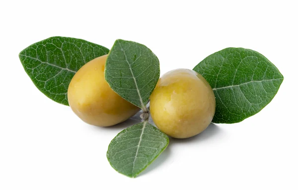 Triphala